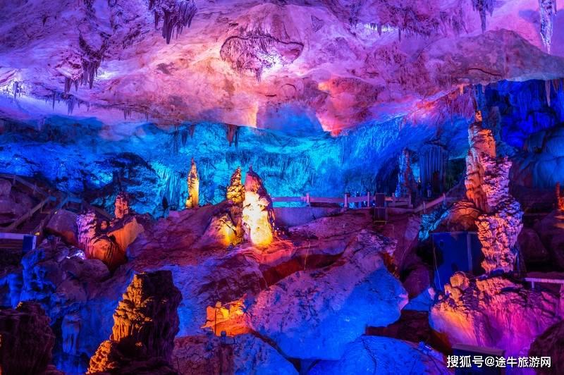动物帮帮忙保卫家园