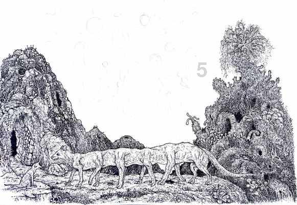 【新春走基层】贵阳贵乌社区:家门口,有“医”靠