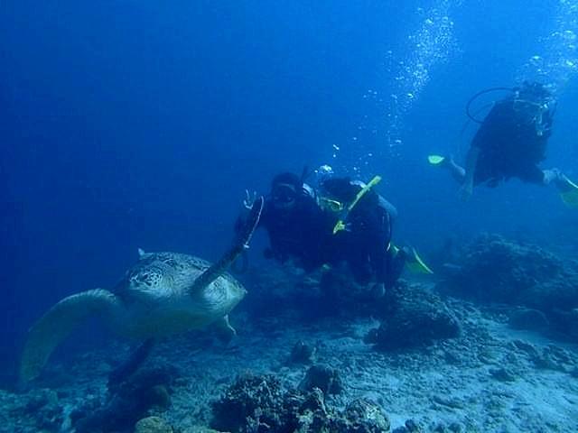 空气悬挂四个下趴了，要4个一起换吗？