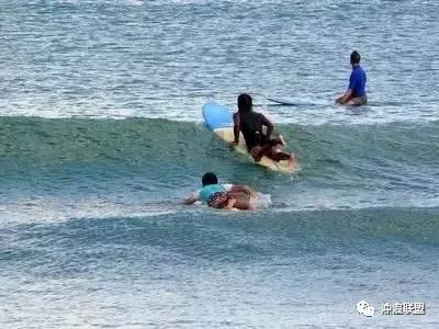 张格庄樱乡文化旅游节奉上春节“文化大餐”