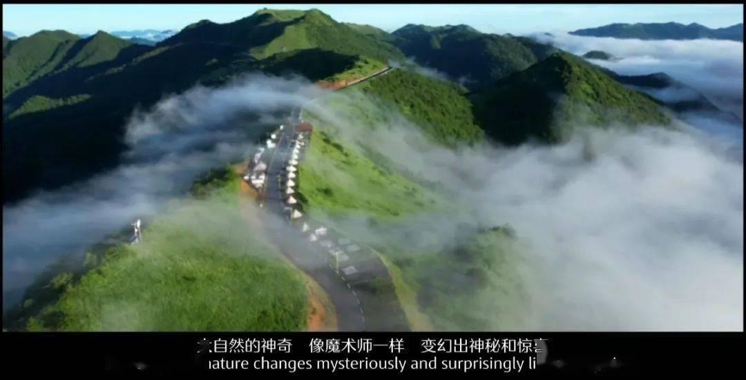 万词王