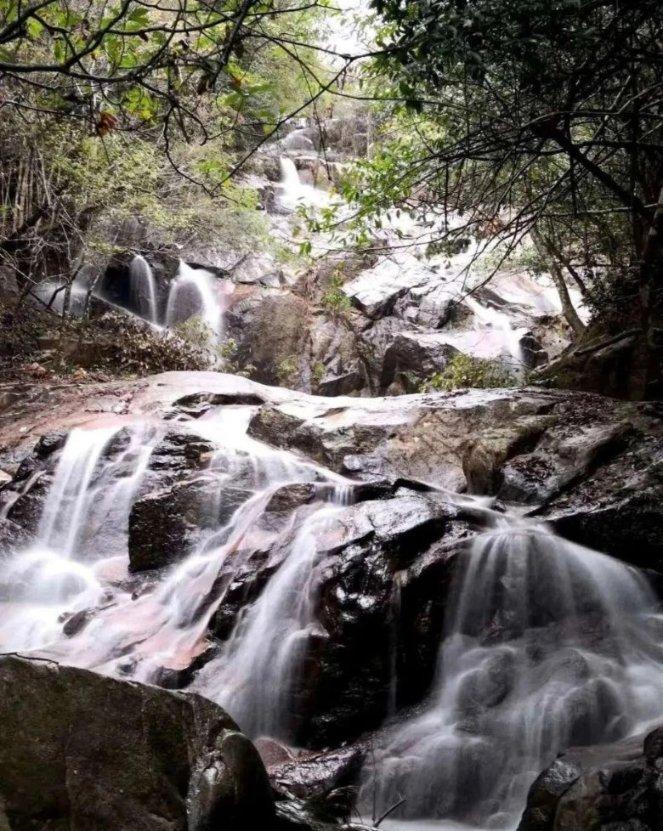 潍坊市奎文区樱桃园小学在奎文区第二届校园跳绳比赛中荣获佳绩