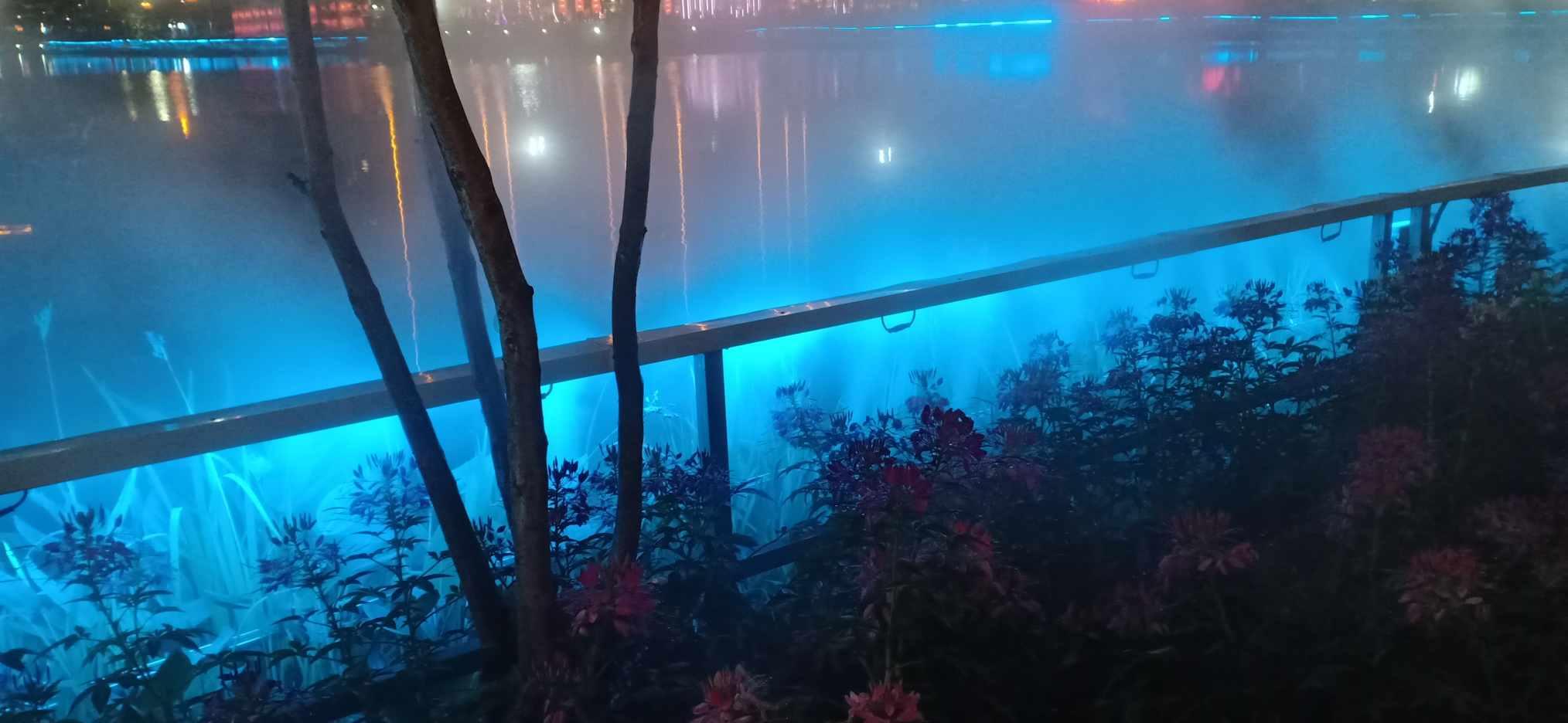 西方大卡车找字母